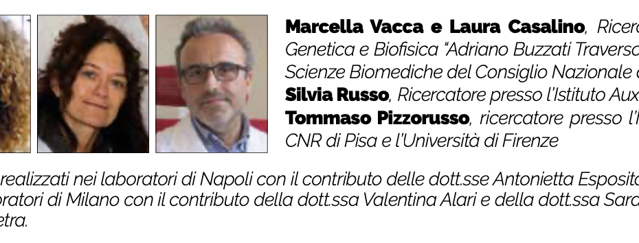 Verso la riattivazione farmacologica di Mecp2: sviluppo di nuovi modelli pre-clinici per la Sindrome di Rett